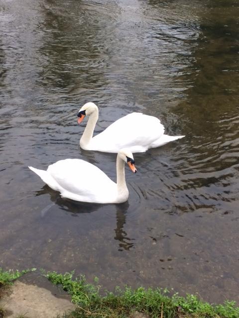 Sculthorpe Mill Hotel Fakenham Esterno foto