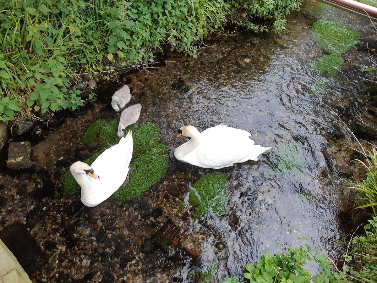 Sculthorpe Mill Hotel Fakenham Esterno foto